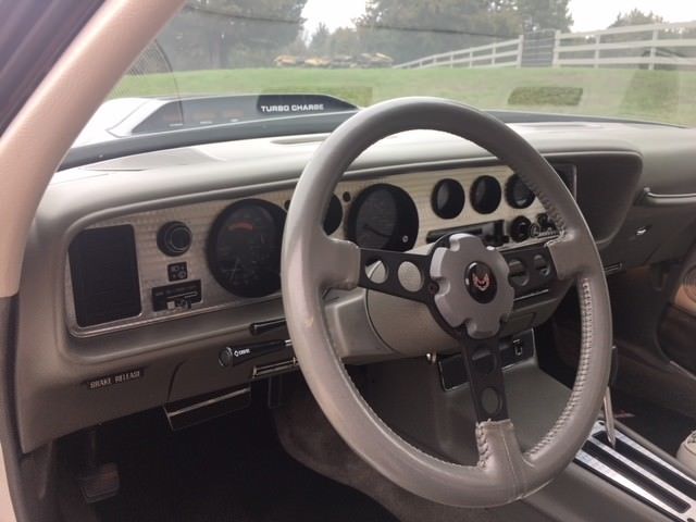 1980 Pontiac Trans Am Pace Car Edition - photo 10