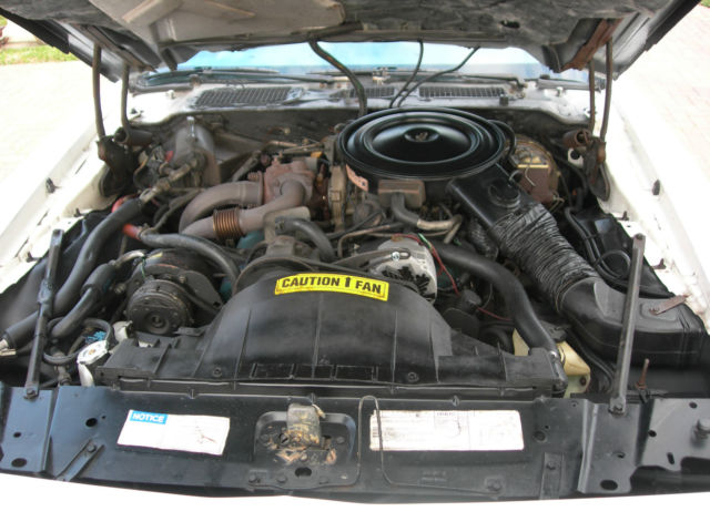 1980 Pontiac Trans Am - photo 10