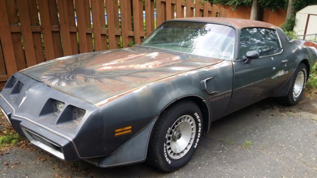 1980 Pontiac Trans Am - photo 10