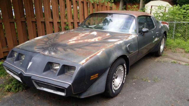 1980 Pontiac Trans Am - photo 2