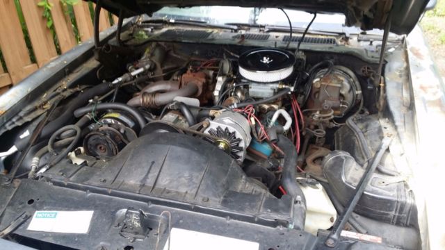 1980 Pontiac Trans Am - photo 5