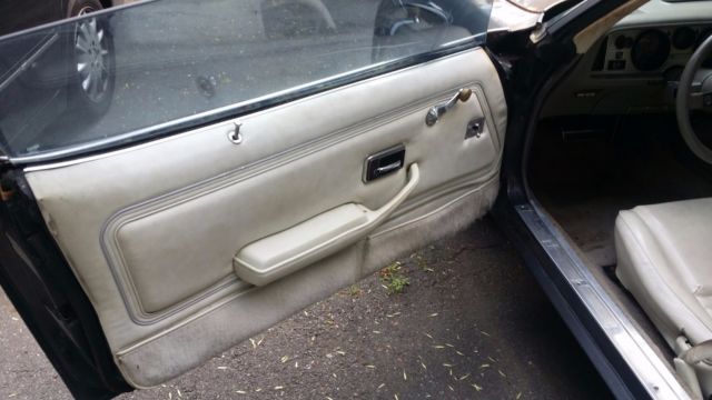 1980 Pontiac Trans Am - photo 6