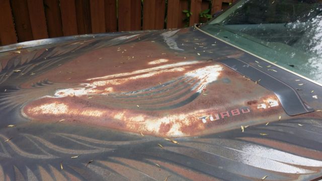 1980 Pontiac Trans Am - photo 9