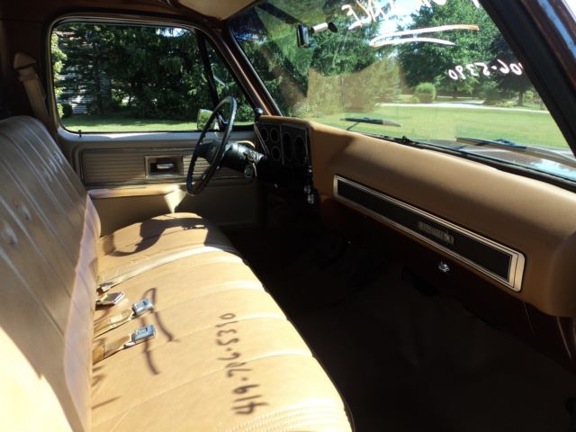 1980 Chevrolet C-10 SCOTTSDALE - photo 10