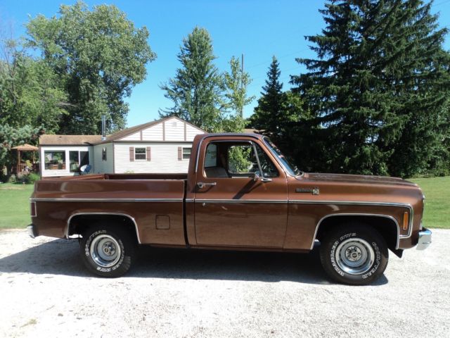1980 Chevrolet C-10 SCOTTSDALE - photo 2