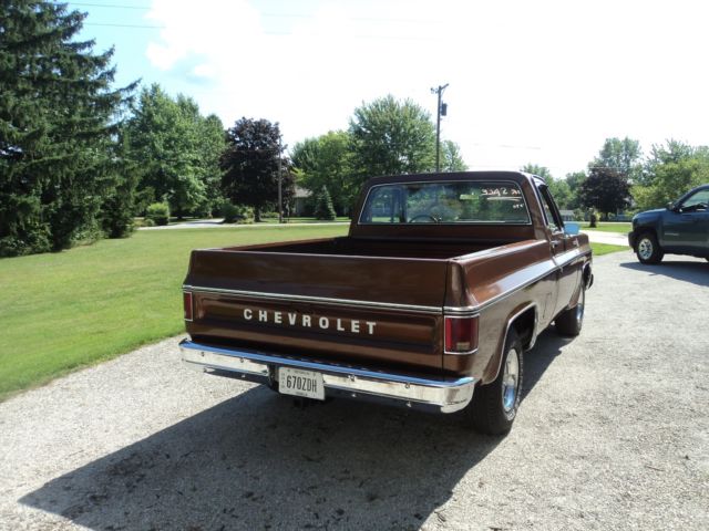 1980 Chevrolet C-10 SCOTTSDALE - photo 5