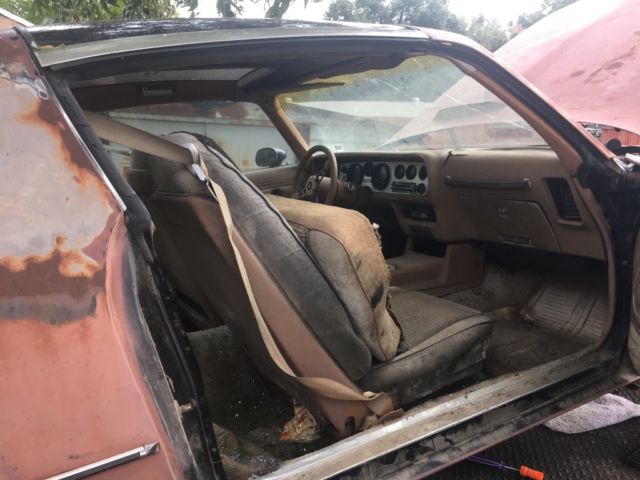 1980 Pontiac Trans Am SE T-Top - photo 11