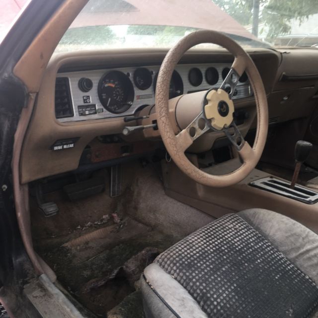 1980 Pontiac Trans Am SE T-Top - photo 6