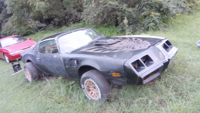 1980 Pontiac Trans Am SPECIAL EDITION - photo 2