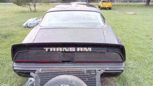 1980 Pontiac Trans Am SPECIAL EDITION - photo 3