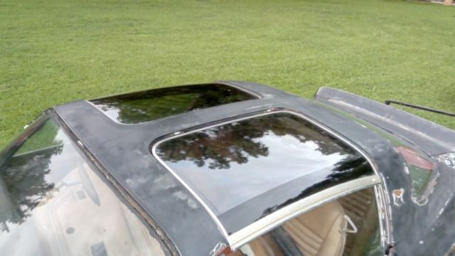 1980 Pontiac Trans Am SPECIAL EDITION - photo 4