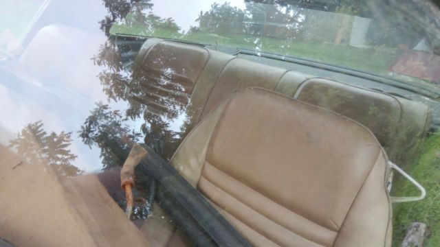 1980 Pontiac Trans Am SPECIAL EDITION - photo 5