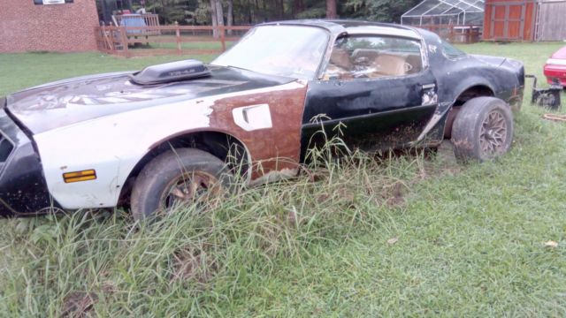 1980 Pontiac Trans Am SPECIAL EDITION - photo 6