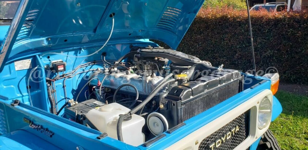 1980 Toyota FJ Cruiser - photo 6