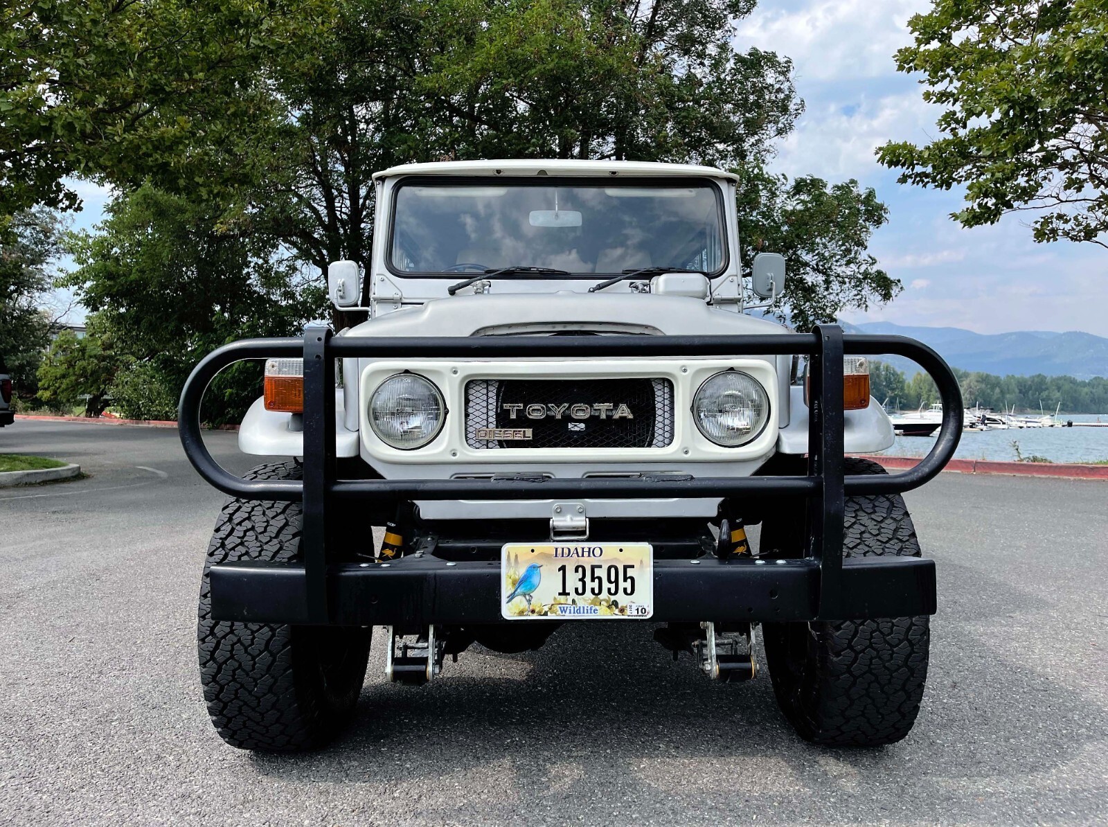 1980 Toyota Land Cruiser - photo 8