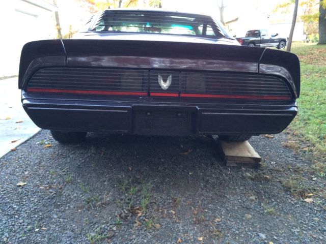 1980 Pontiac Trans Am - photo 12