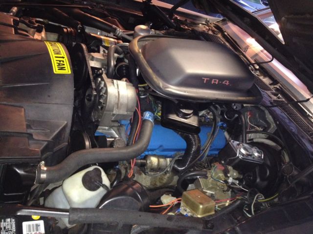 1980 Pontiac Firebird Trans Am - photo 11