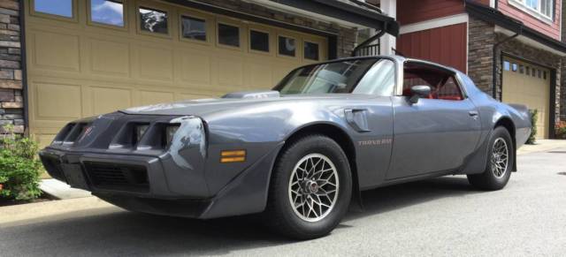 1980 Pontiac Firebird Trans Am - photo 3
