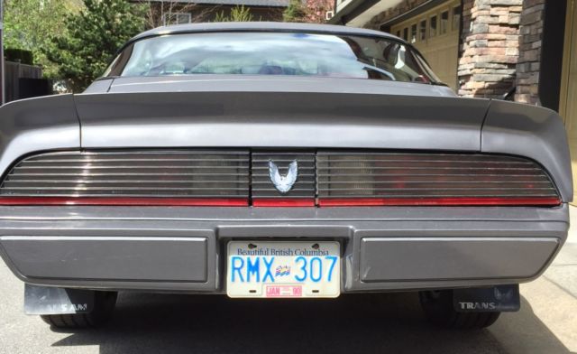 1980 Pontiac Firebird Trans Am - photo 8