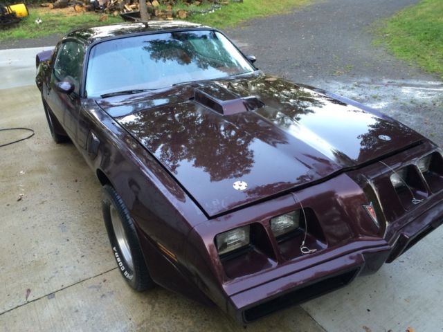 1980 Pontiac Trans Am - photo 2