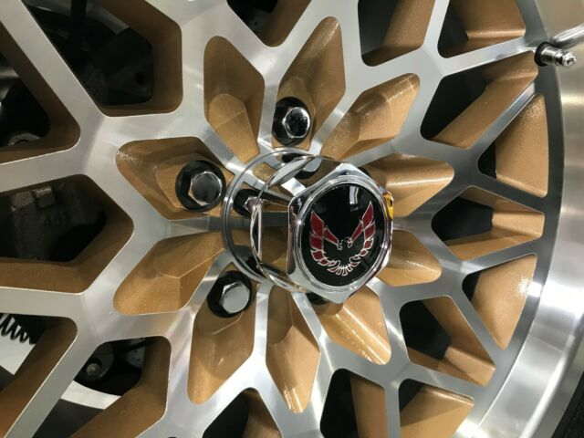 1980 Pontiac Trans Am Trans Am - photo 10