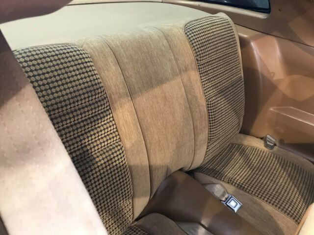 1980 Pontiac Trans Am Trans Am - photo 13