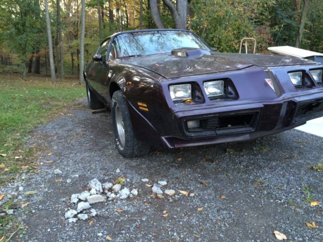 1980 Pontiac Trans Am - photo 3
