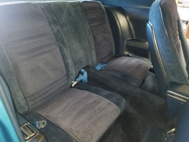 1980 Pontiac Firebird - photo 11