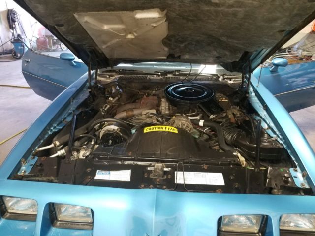 1980 Pontiac Firebird - photo 7