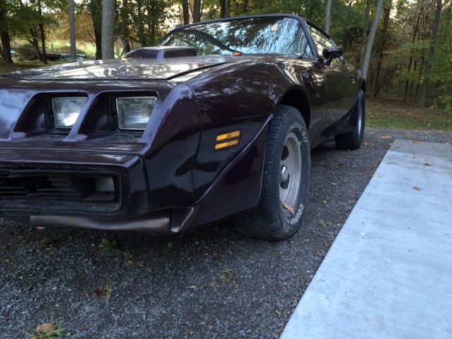 1980 Pontiac Trans Am - photo 4