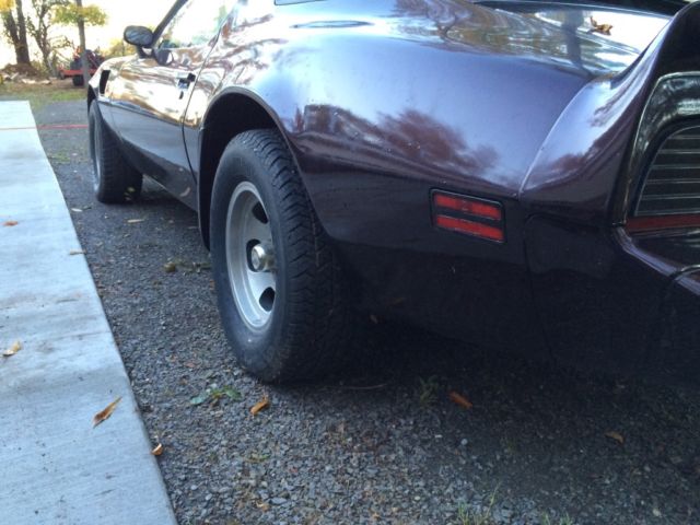 1980 Pontiac Trans Am - photo 5