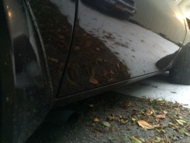 1980 Pontiac Trans Am - photo 7