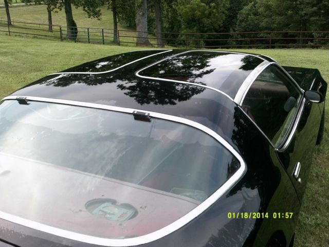 1980 Pontiac Trans Am - photo 10