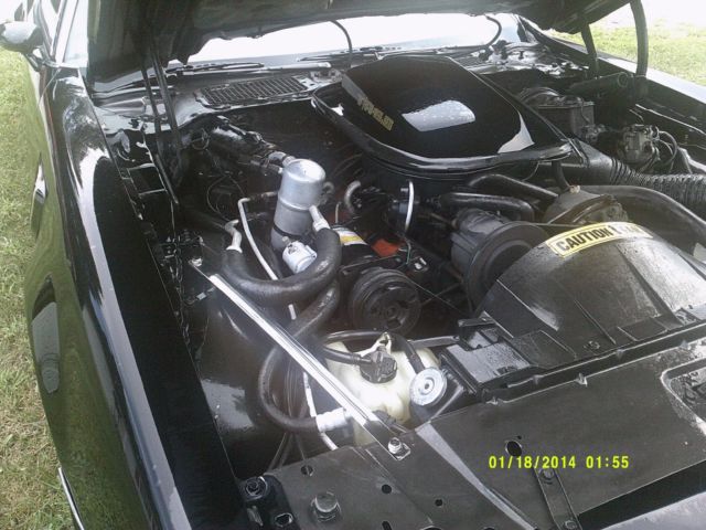 1980 Pontiac Trans Am - photo 9