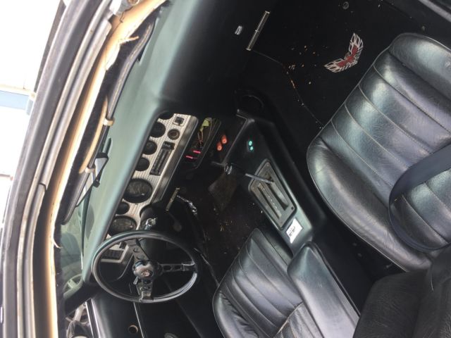 1980 Pontiac Trans Am - photo 4