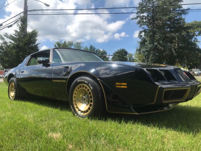 1980 Trans Am Completely Restored T-Tops Beautiful Inside and Out Must See!! 1980 Pontiac Trans Am Restored T-tops