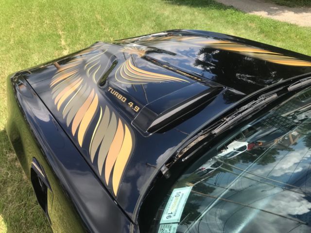 1980 Pontiac Trans Am Restored T-tops - photo 12