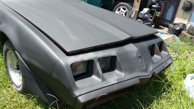 1980 Pontiac Firebird - photo 3