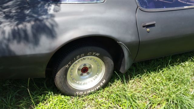 1980 Pontiac Firebird - photo 6