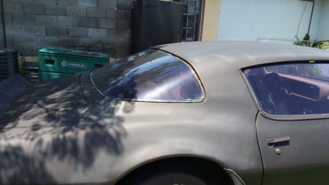 1980 Pontiac Firebird - photo 7