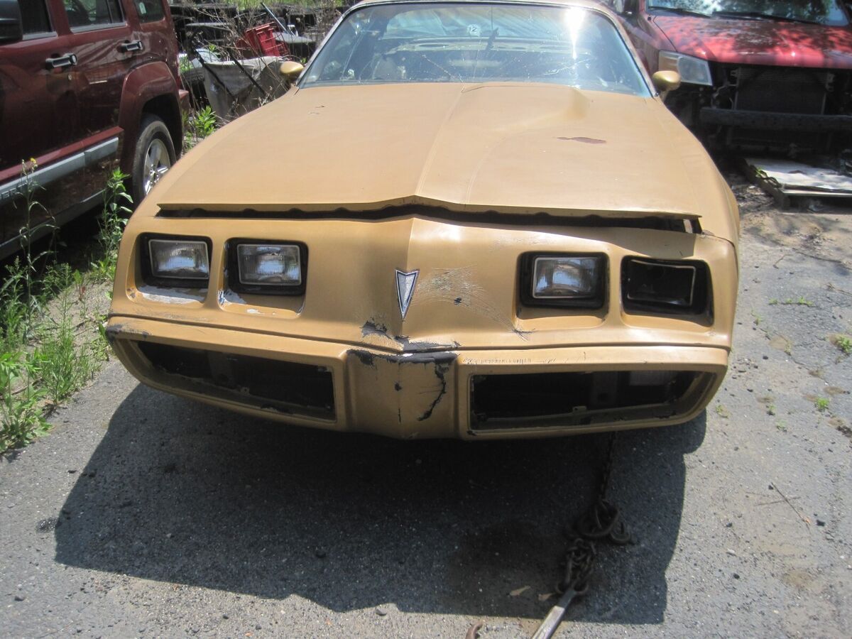 1980 Pontiac Trans Am - photo 2