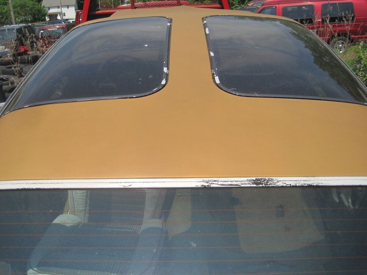 1980 Pontiac Trans Am - photo 3