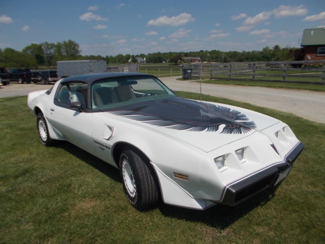 1980 Pontiac Firebird TRAMS AM