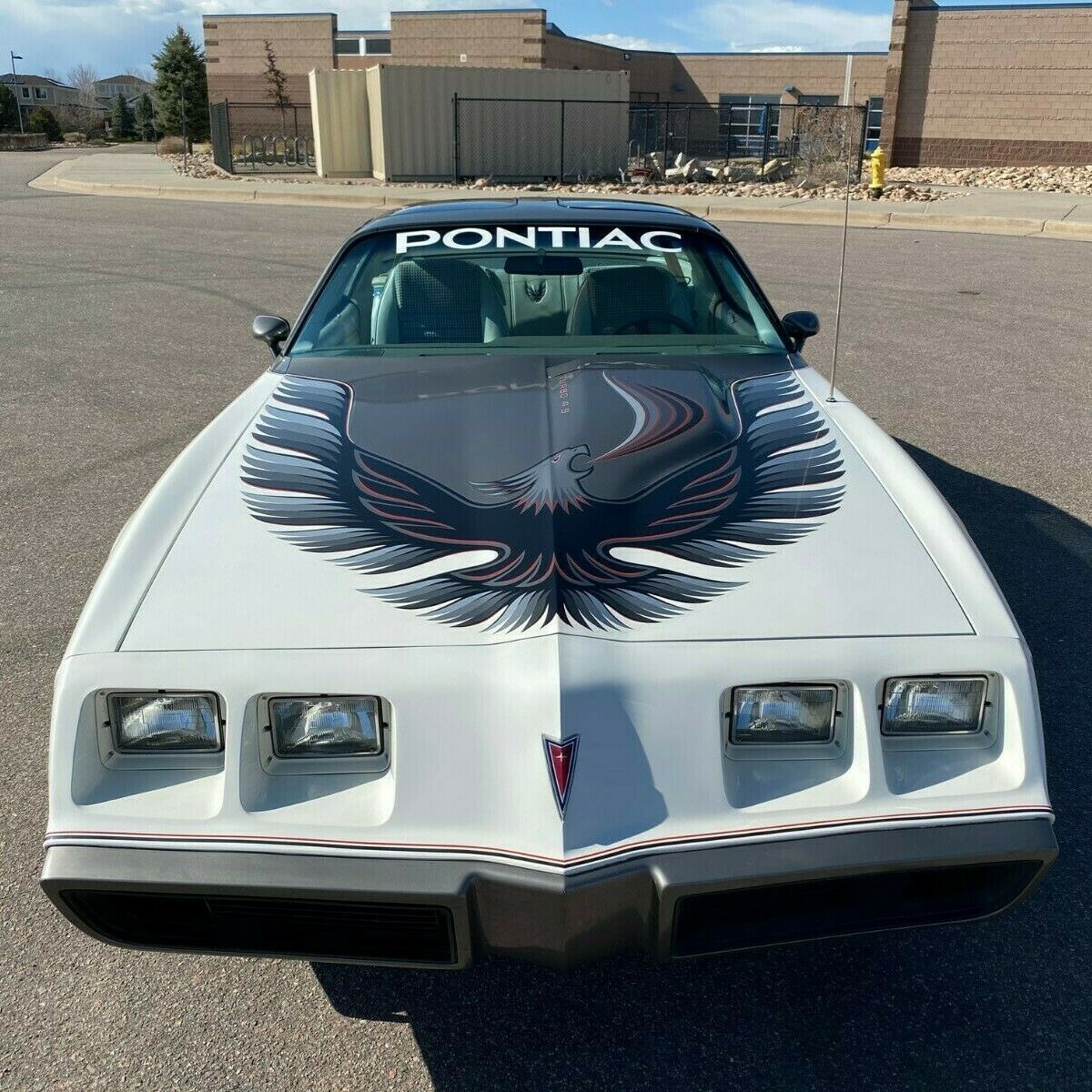 1980 Pontiac Trans Am Turbo - photo 2