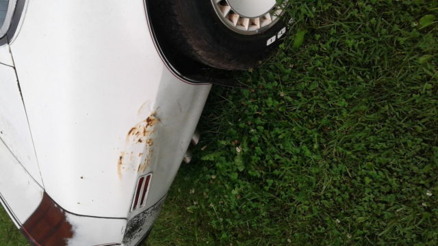 1980 Pontiac Trans Am - photo 3