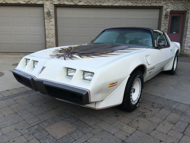 1980 TRANS AM PACE CAR , CLEAN ORIGINAL SHEET METAL ! 1980 Pontiac Trans Am