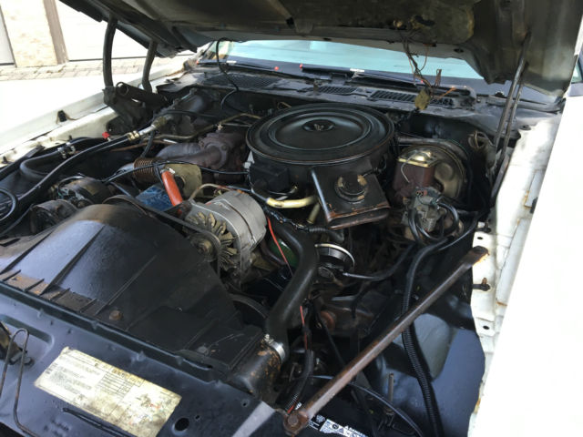 1980 Pontiac Trans Am - photo 13