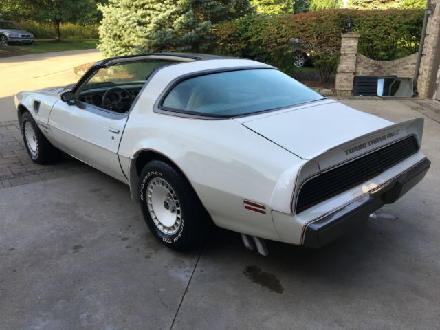 1980 Pontiac Trans Am - photo 4