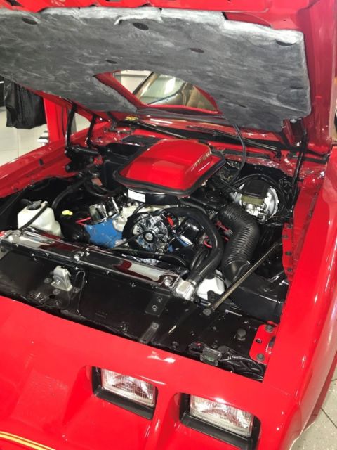 1980 Pontiac Firebird Trans Am - photo 11
