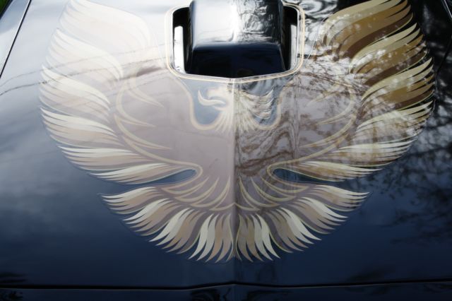 1980 Pontiac Trans Am - photo 11